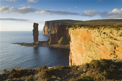 The old man of hoy